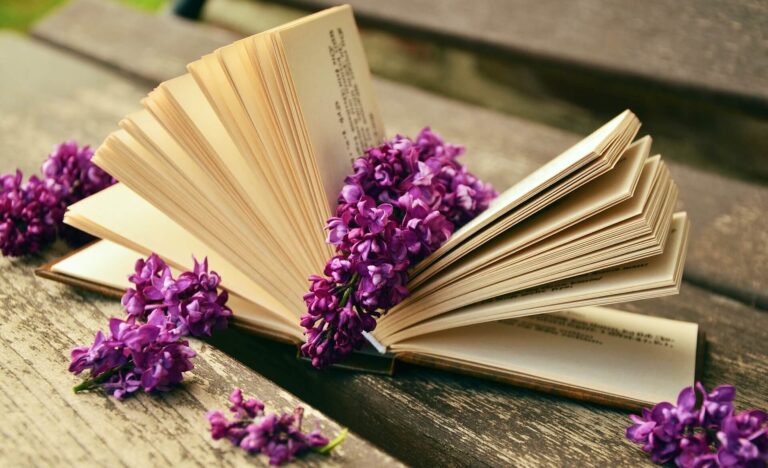LIBROS IMPRESCINDIBLES PARA ESTUDIANTES DE FRANCÉS