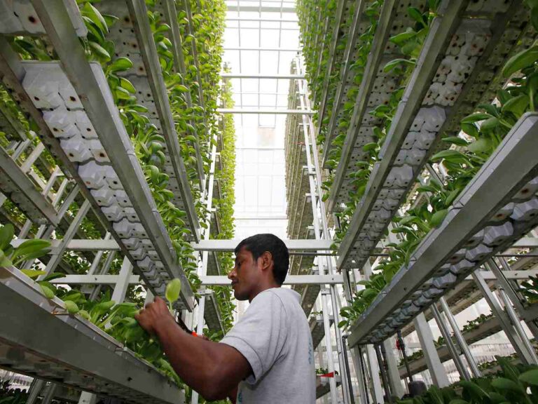 5 INICIATIVAS AMIGABLES CON EL PLANETA