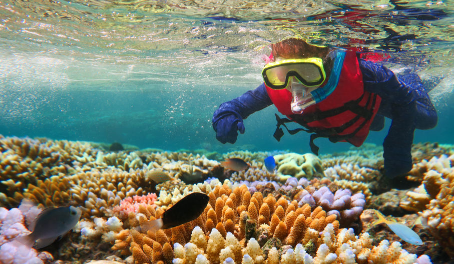 7 LUGARES ICÓNICOS DE AUSTRALIA QUE DEBES CONOCER
