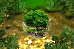 6 IDEAS INNOVADORAS PARA EL CUIDADO DEL MEDIO AMBIENTE