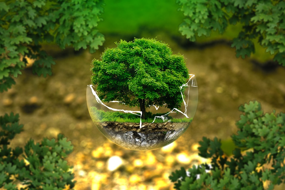 6 IDEAS INNOVADORAS PARA EL CUIDADO DEL MEDIO AMBIENTE